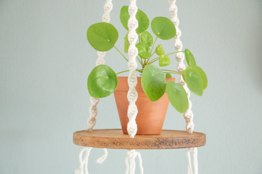 macrame plantenhanger met plankje in naturel kleur