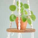  macrame plantenhanger met plankje in naturel kleur 
