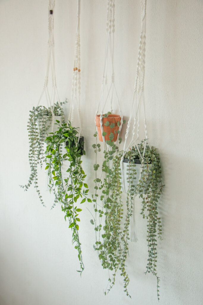  witte macrame plantenhanger als woondecoratie 